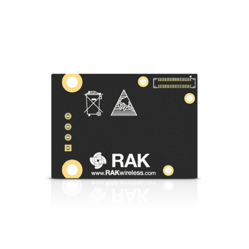 RAK13006 b